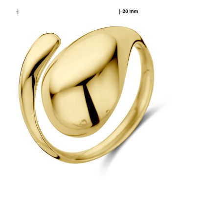 14k Geelgouden ring